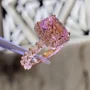 Radiantschliff Zartrosa Halo 925er Sterlingsilber Roségold Verlobungsring